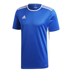 Dres ADIDAS ENTRADA 18