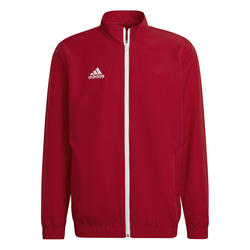 Bunda ADIDAS ENTRADA 22 PRE JACKET