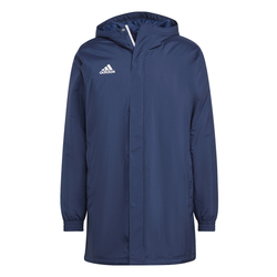 Bunda ADIDAS ENTRADA 22 STADIUM JACKET