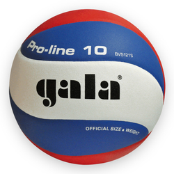 Volejbalový míč GALA PRO-LINE 10P