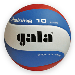 Volejbalový míč GALA TRAINING 10P