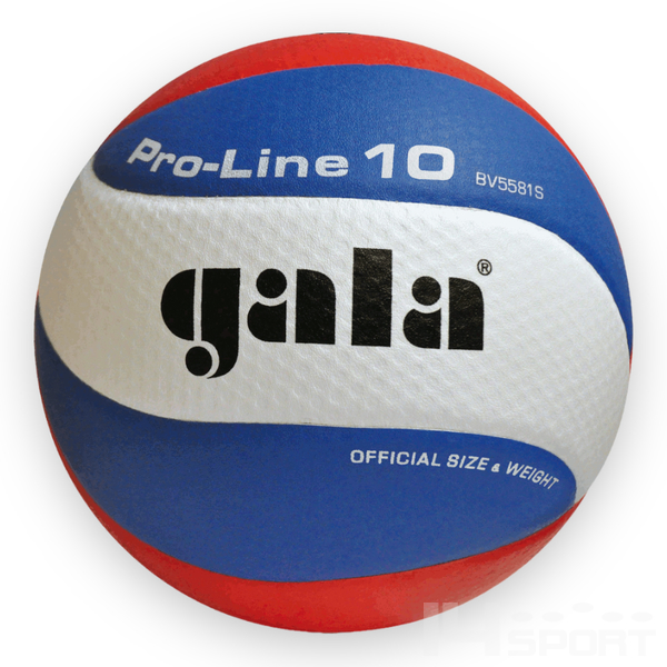 Volejbalový míč GALA PRO-LINE 10P
